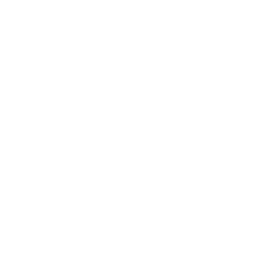 icon.company